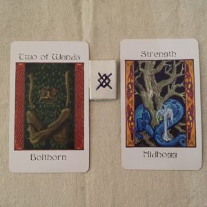 The Giants' Tarot, Raven Kaldera