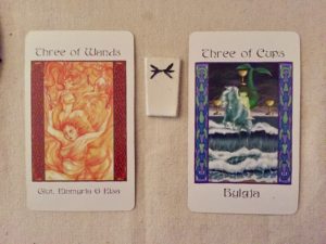 The Giants' Tarot, Raven Kaldera