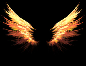 Wings of Fire