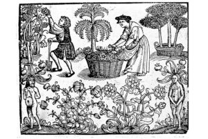 A frontispiece from Grete Herball, a 1526 English herbal manuscript. via Wikimedia Commons