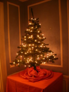 Small tree with white lights