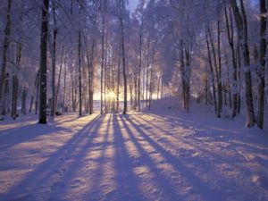 Image: Winter Solstice, from Old Farmer's Almanac.
