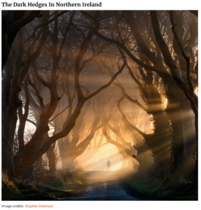 A photo of a man standing in filtered sunlight between two rows of tall, dark trees. The caption reads "The Dark Hedges in Northern Ireland", with an image credit for Stephen Emerson at the bottom.