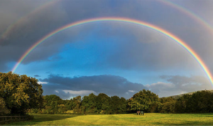 A double rainbow against a blue sky, over green field with trees at the back.