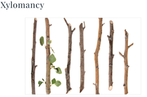 The word "Xylomancy", and a photo of assorted twigs and sticks.