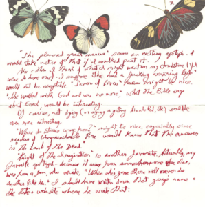 A piece of stationery with butterflies on the top border. The text is handwritten in red ink, and transcribed in the next paragraph of the post.